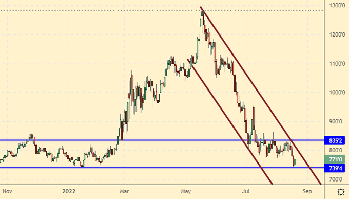 евро август 2022. евро август 2022. евро биржа график. динамика курса евро. евро август 2022.